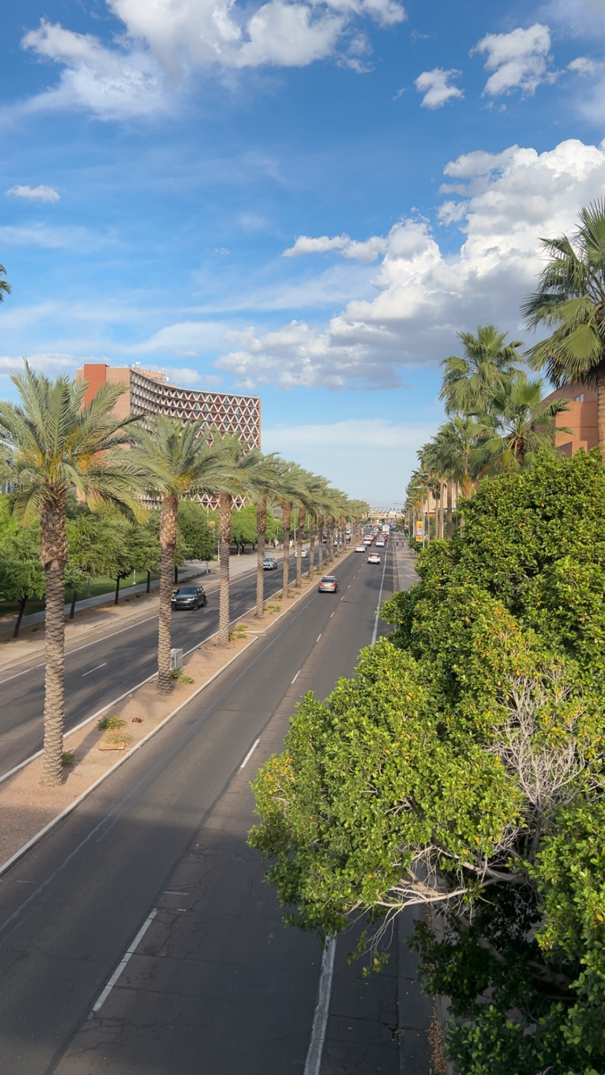 Palm Avenue Promenade ASU
